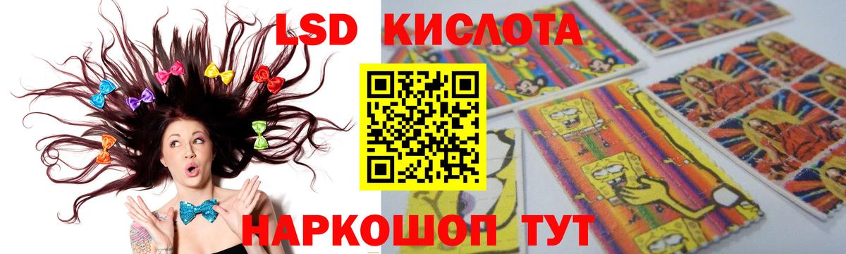 KRAKEN tor  ЛСД экстази ecstasy  Кисловодск  Вход с VPN  ЛСД экстази кислота 