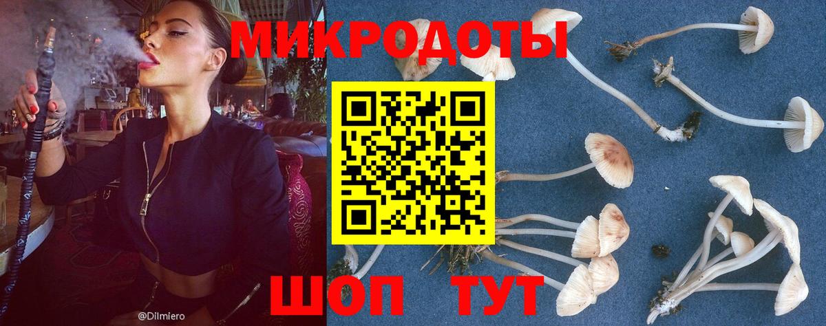 Псилоцибиновые грибы MAGIC MUSHROOMS  Вход с VPN  Галлюциногенные грибы MAGIC MUSHROOMS  Кисловодск 